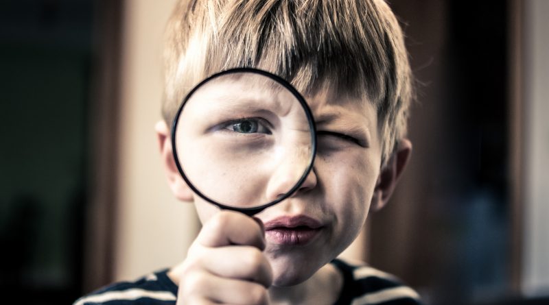 Appraisers License Verificaiot
